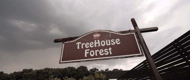 TreeHouse Forest - locatie pentru nunti in Cosoba, Giurgiu