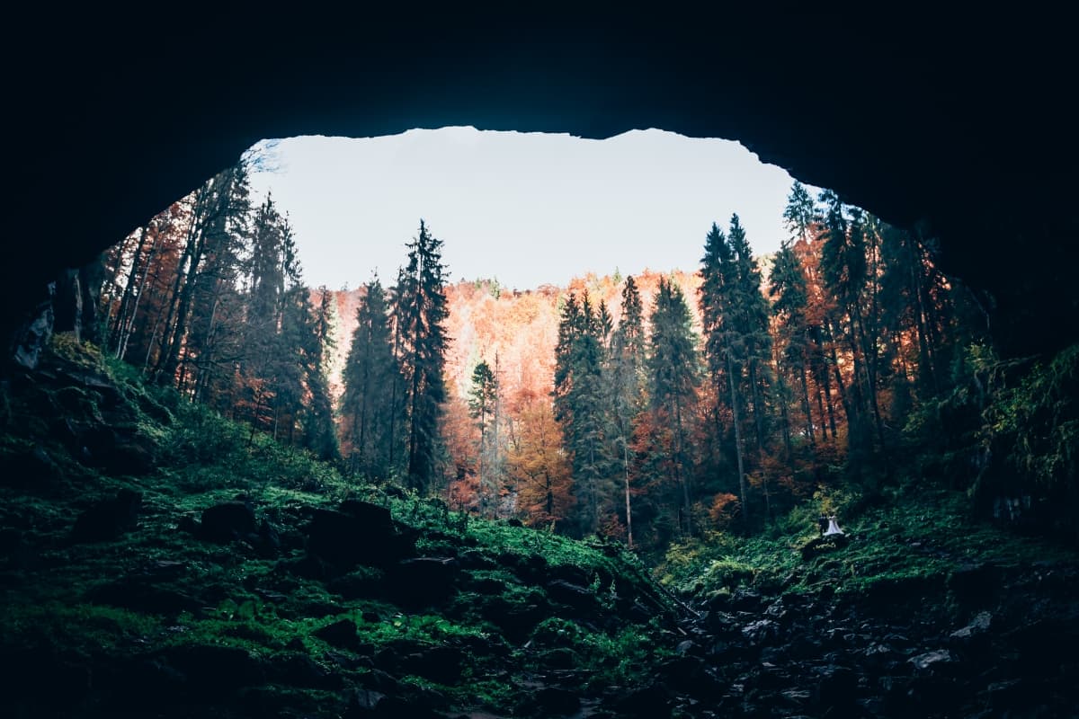 Parcul Natural Apuseni - locatie pentru nunti in GÃ¢rda de Sus, Bihor