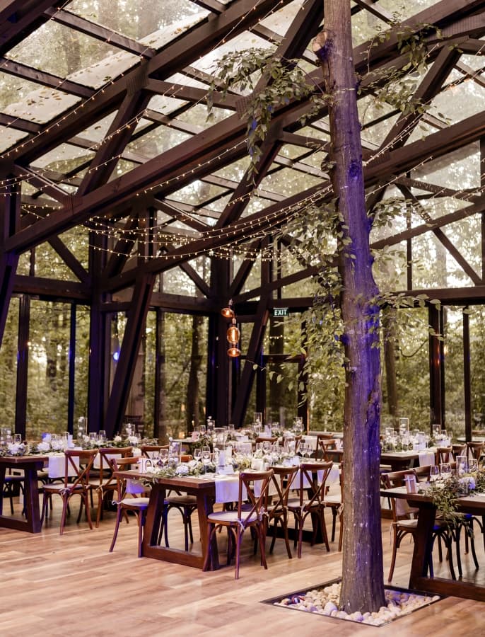 TreeHouse - In the Woods - locatie pentru nunti in Cosoba, Giurgiu
