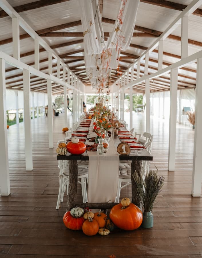 The Wedding House - locatie pentru nunti in Poiana lui Stângă, Giurgiu