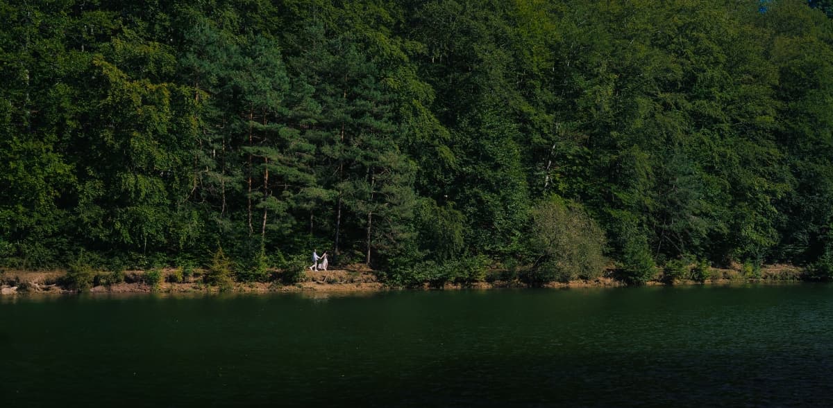 Lacurile Codlea - locatie pentru nunti in Codlea, Brașov