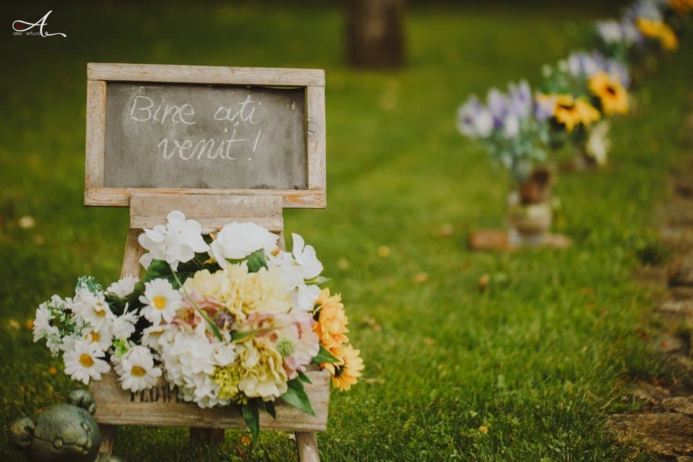 Denisa & Valentin - Fotografii de Alex Merfu
