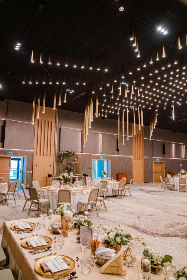Timisoara Convention Center - Timisoara