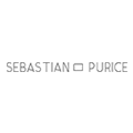 Mentoring online 1:1 <b>Sebastian Purice</b>